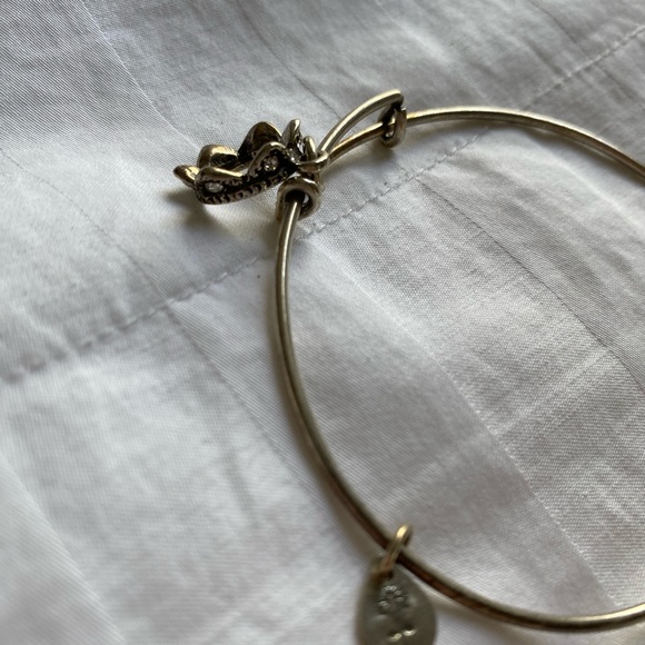 Alex and Ani Silver Crown Bracelet 👑 - Picture 4 of 10